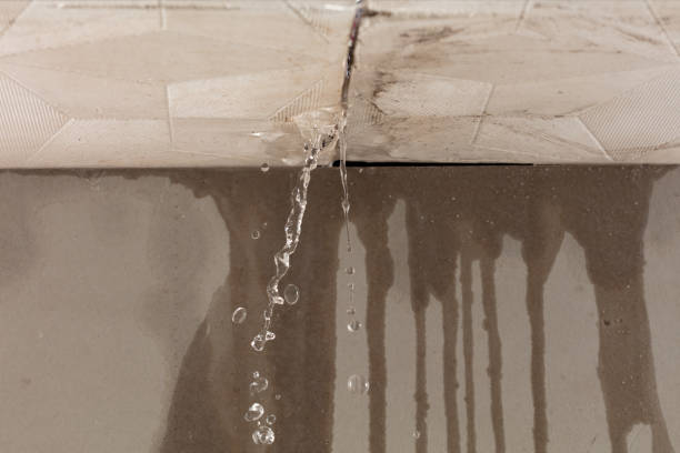 Professional Water Extraction technician working in Westphalia, IA